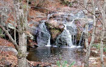 Waterfall in Young Harris