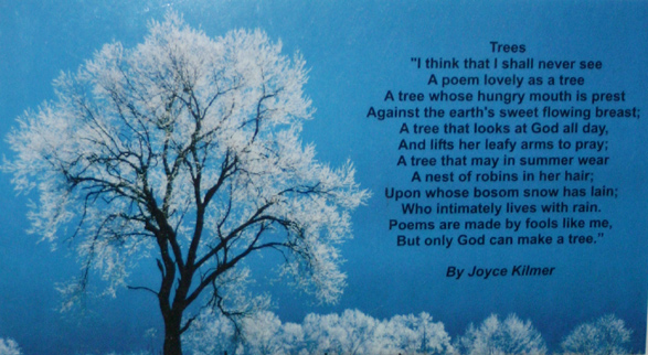 Tree Poem