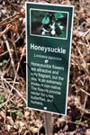 hiking trail information