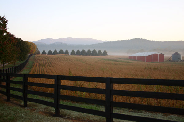 Scenic farmland with golden fields, a black wooden fence, a red barn, and misty mountains in the background at sunrise.