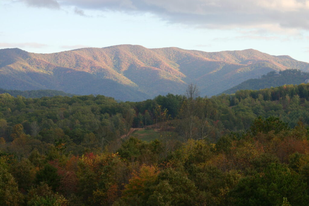 an aerial view of the forest and mountains