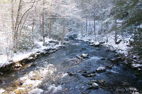 Snow-covered trees line the banks of a gently flowing mountain creek, creating a serene winter landscape.