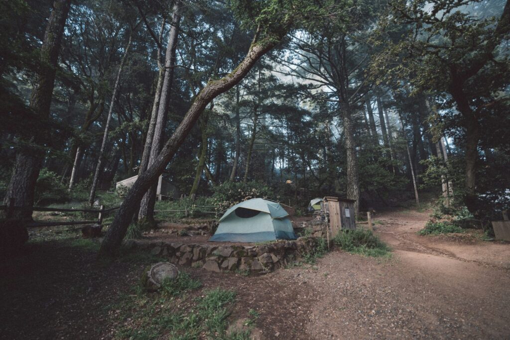White tent under green trees during daytime