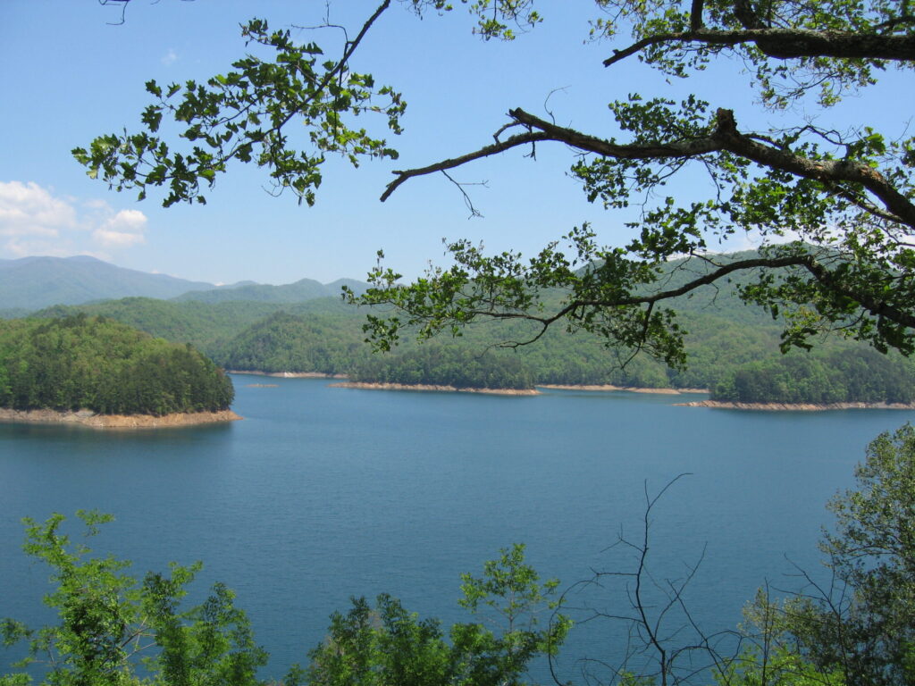 a view of lake and trees