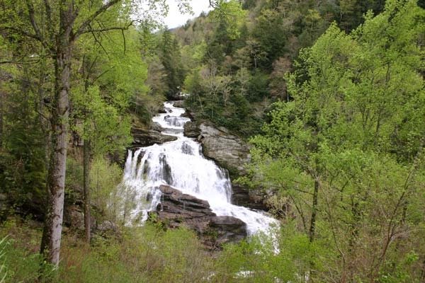 a photo of a waterfall surrounded by trees