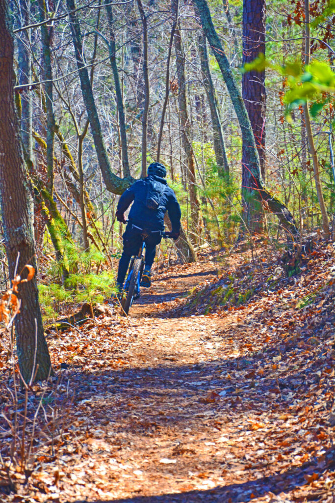 A cyclist wearing black gear rides a mountain bike along a winding dirt trail covered in fallen leaves at Aska Trails
