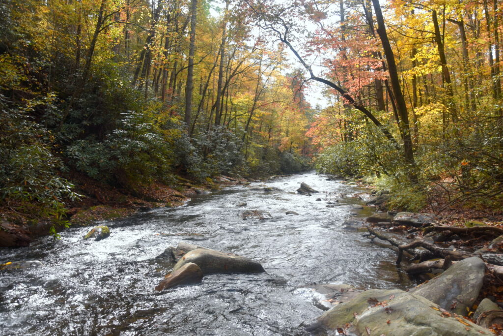 a river surrounded by orange foliage