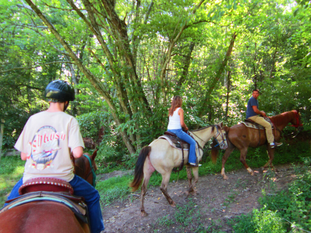 a group of people riding a horse on a trail