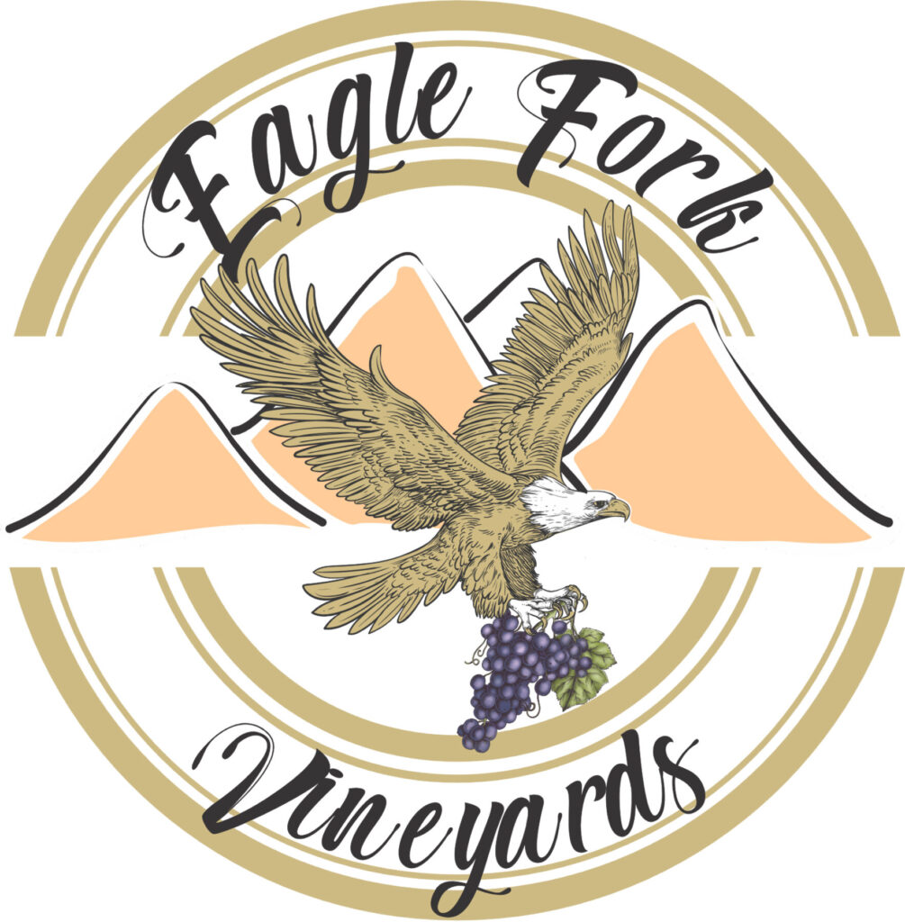The logo of Eagle Fork Vineyards featuring an eagle flying with a bunch of grapes in its talons
