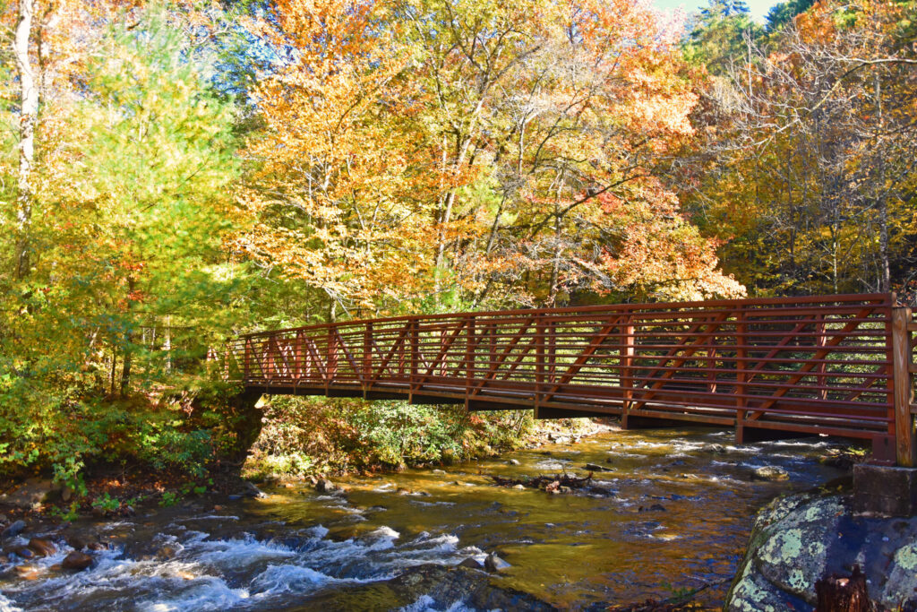 Fires Creek Wilderness area, Hayesville NC . North Carolina mountain property