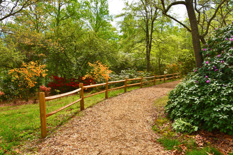 Hamilton Gardens in Hiawassee, GA trail