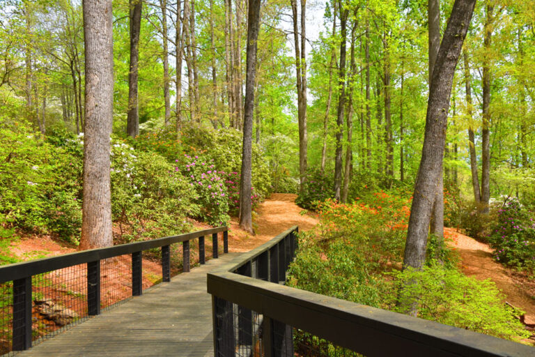 Hamilton Gardens in Hiawassee, GA