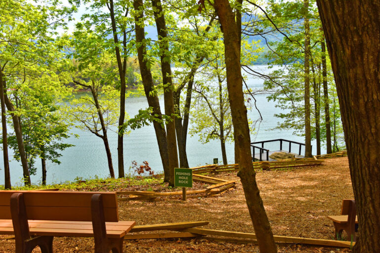 Hamilton Gardens on lake Chatuge