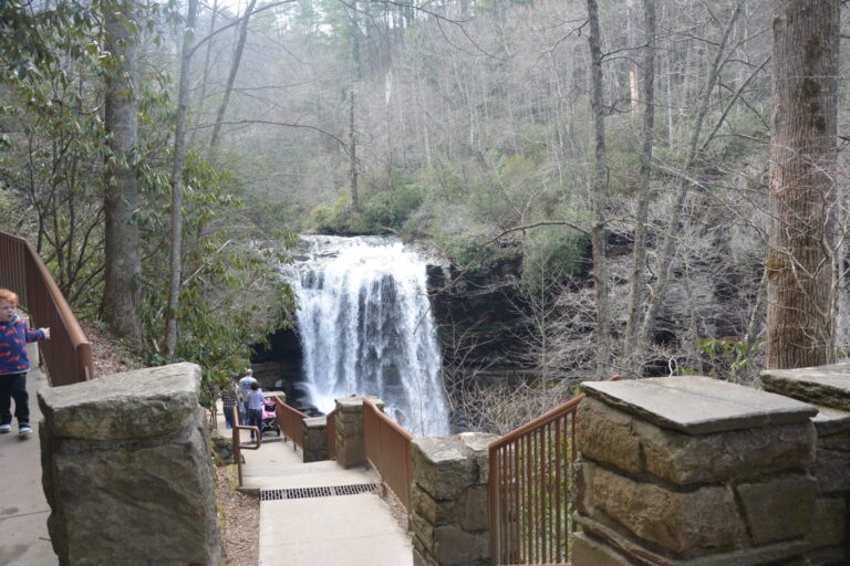 NC waterfall hiking path