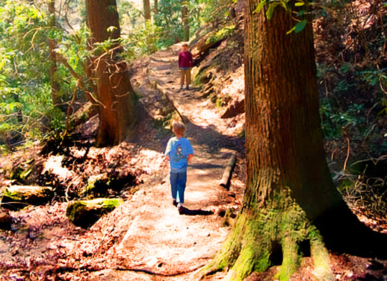 walking trail