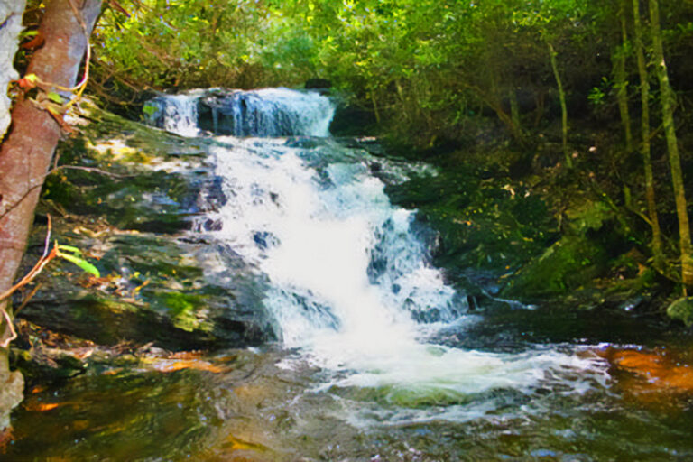 Nantahala National waterfalls