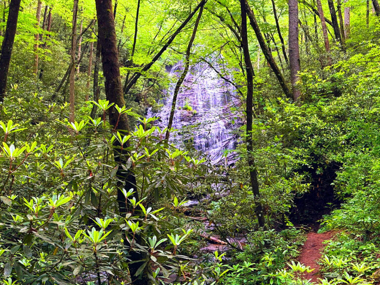 Chattahoochee National Forest Horsetrough Falls