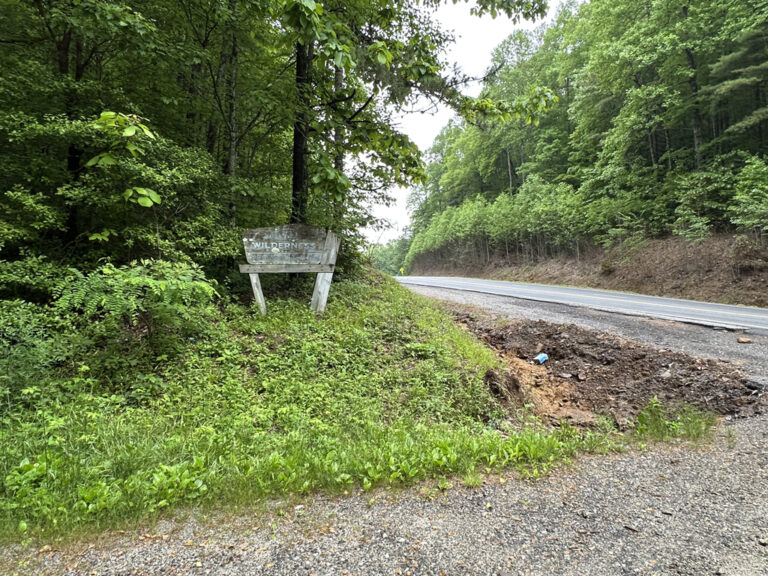 Wilkes Creek Road FS road 44