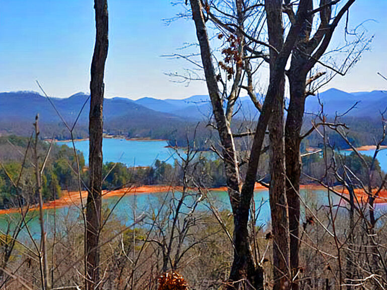 Singletrack trail at Jackrabbit Mountain Bike Trails in Hayesville, NC, with Lake Chatuge views