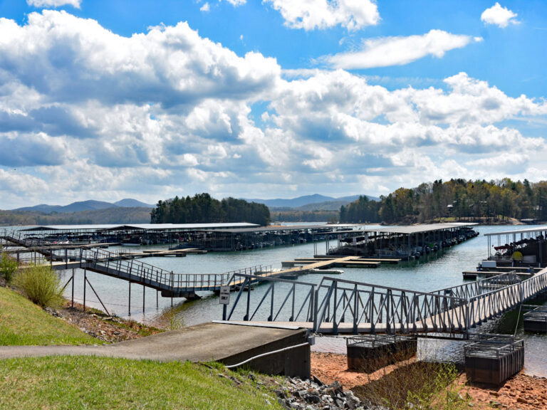 Marina on Fannin County Georgia lakefront