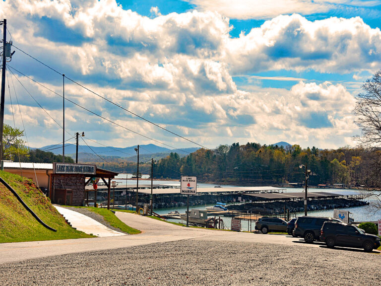 Marina in Blue Ridge GA