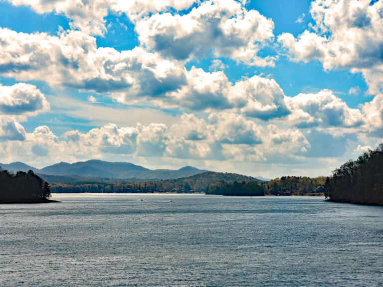 Blue Ridge Georgia lakefront