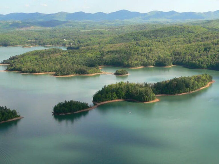 Pristine Lake Nottely view with forested shoreline in Blairsville, GA, highlighting natural beauty.