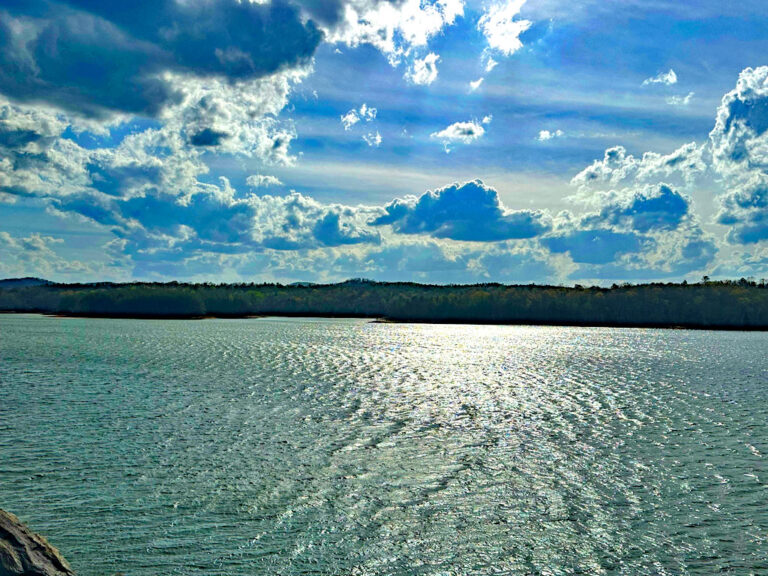 Nottely lake Blairsville GA s | Advantage Chatuge Realty
