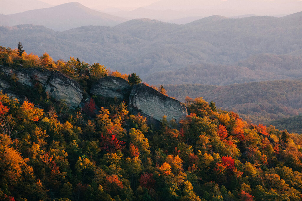 Boone