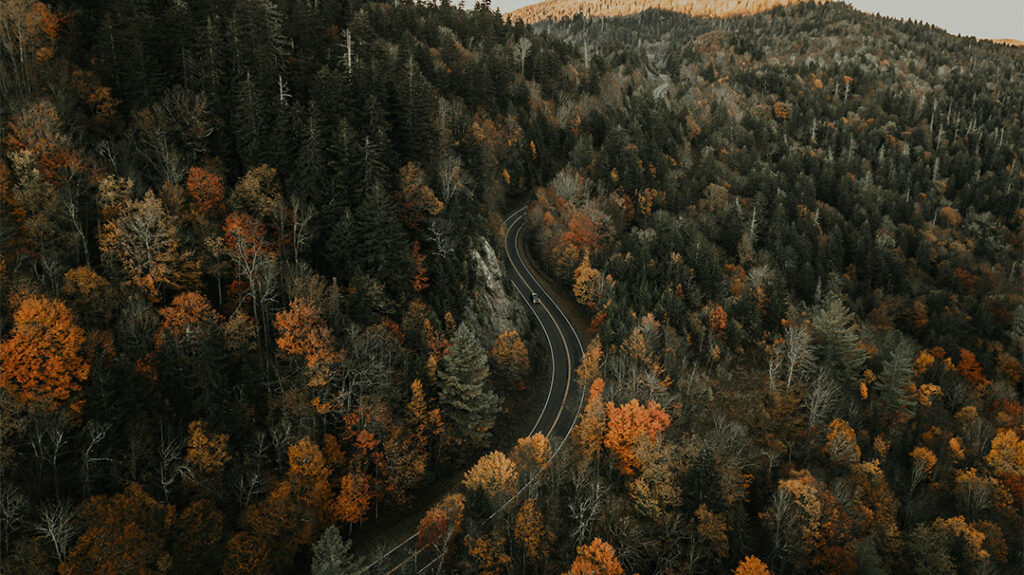 Hayesville