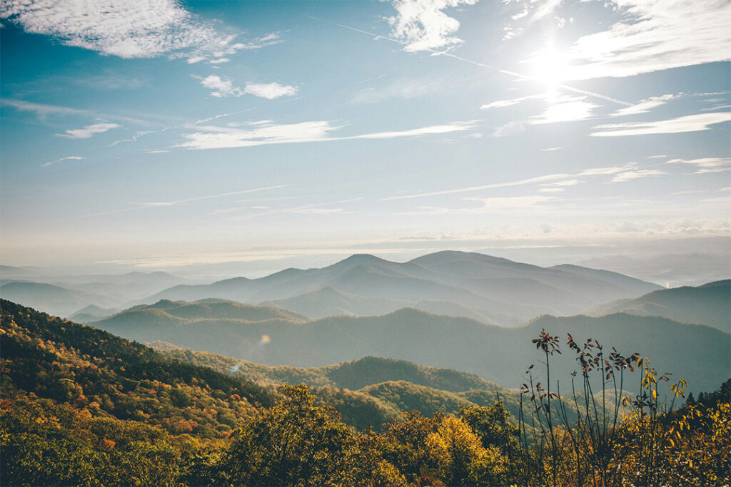 Waynesville