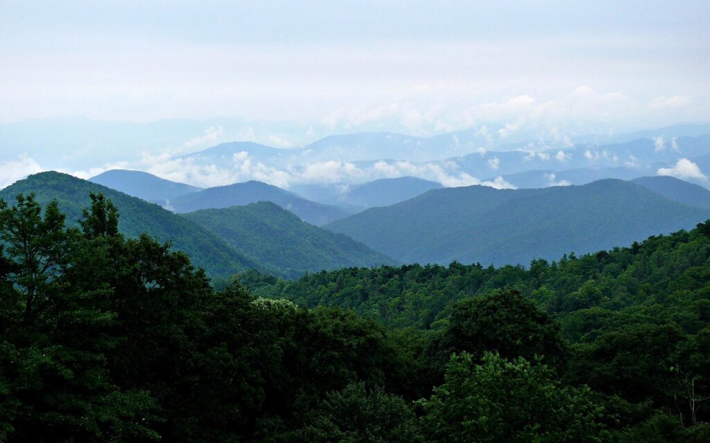 a view of the Blue Ridge Mountains with full of trees