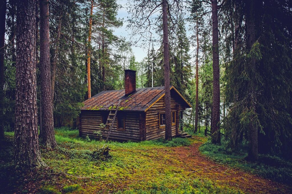 a log cabin house in a middle of forest