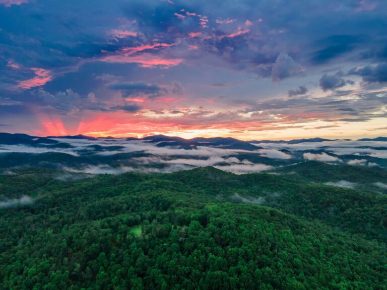 a mountain view with sea of clouds during daytime