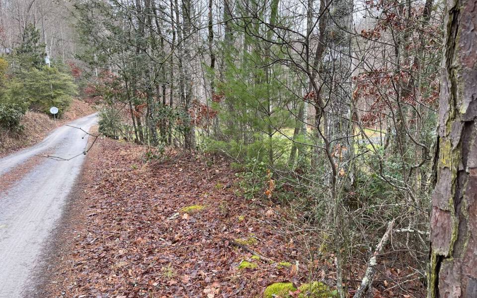 Hayesville,North Carolina Mountain land for sale LT 7 COMPASS CREEK, Hayesville, North Carolina 28904,Vacant lot,For sale,COMPASS CREEK,331092, land for sale Advantage Chatuge Realty