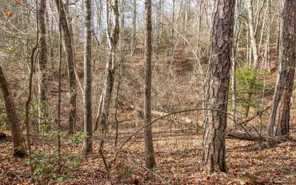 Murphy,North Carolina Mountain land for sale 00 OLD EVANS RD, Murphy, North Carolina 28906,Vacant lot,For sale,OLD EVANS RD,331115, land for sale Advantage Chatuge Realty