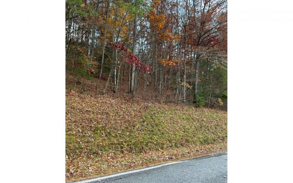 Brasstown,North Carolina Mountain land for sale TR 1 GREASY CREEK ROAD, Brasstown, North Carolina 28902,Vacant lot,For sale,GREASY CREEK ROAD,331121, land for sale Advantage Chatuge Realty