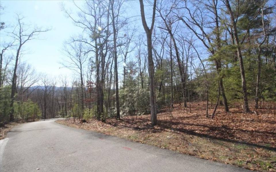 Hayesville,North Carolina Mountain land for sale LT 41 NANTAHALA LANE, Hayesville, North Carolina 28904,Vacant lot,For sale,NANTAHALA LANE,331135, land for sale Advantage Chatuge Realty