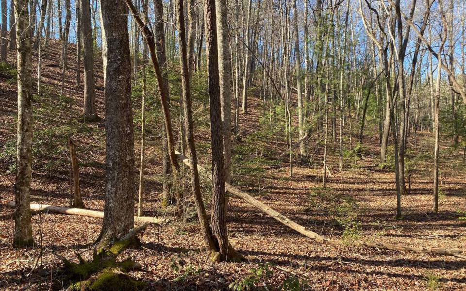 Andrews,North Carolina Mountain land for sale COLLETT WOOD CV, Andrews, North Carolina 28901,Vacant lot,For sale,COLLETT WOOD CV,331214, land for sale Advantage Chatuge Realty